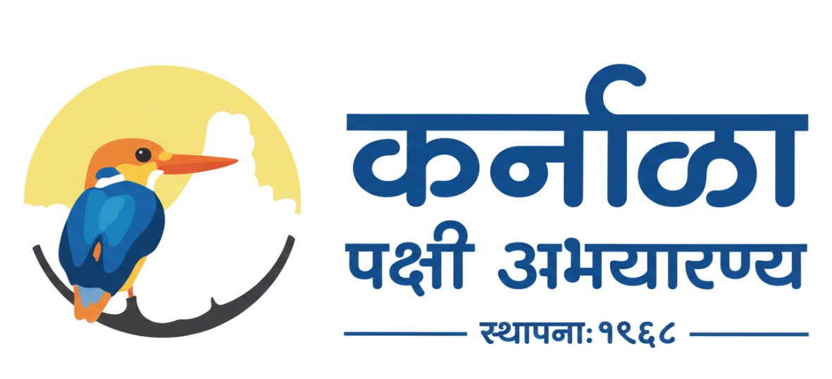 Government Logo